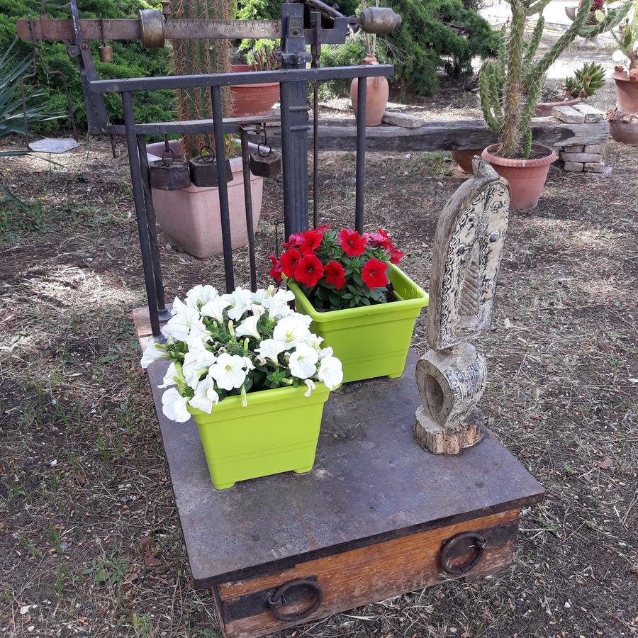 B&B Villa Garden Bisceglie Exterior foto